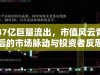 47億巨量流出，市值風(fēng)云背后的市場脈動與投資者反思