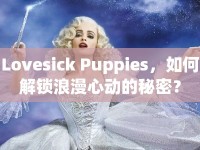 Lovesick Puppies，如何解鎖浪漫心動的秘密？