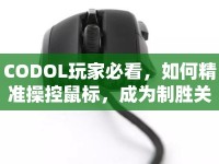 CODOL玩家必看，如何精準(zhǔn)操控鼠標(biāo)，成為制勝關(guān)鍵？