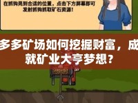 多多礦場如何挖掘財富，成就礦業(yè)大亨夢想？
