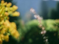 夢(mèng)幻手游裝備特技如何解鎖戰(zhàn)斗新姿勢(shì)？