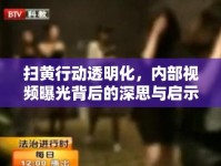 掃黃行動透明化，內(nèi)部視頻曝光背后的深思與啟示