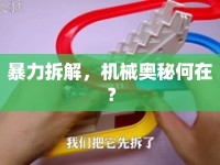 暴力拆解，機械奧秘何在？