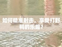 如何精準(zhǔn)射擊，享受打野鴨的樂(lè)趣？