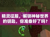 精靈征服，解鎖神秘世界的鑰匙，你準(zhǔn)備好了嗎？