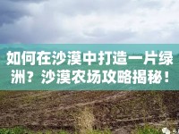 如何在沙漠中打造一片綠洲？沙漠農(nóng)場攻略揭秘！