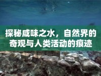 探秘咸味之水，自然界的奇觀與人類活動的痕跡
