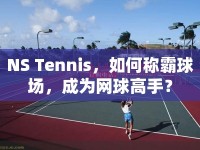 NS Tennis，如何稱霸球場(chǎng)，成為網(wǎng)球高手？