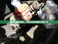 東海墜機(jī)視頻曝光，共同見證真相揭開的那一刻