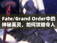 Fate/Grand Order中的神秘英靈，如何攻略令人著迷的黑貞？