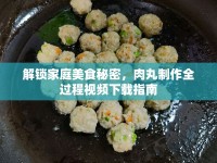 解鎖家庭美食秘密，肉丸制作全過(guò)程視頻下載指南