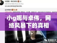 小g娜與卓偉，網(wǎng)絡(luò)風暴下的真相探尋與公眾反思