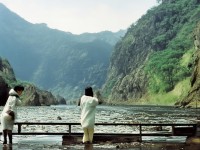 兔乖乖染色如何打造個(gè)性萌寵？神武手游等你來探索！