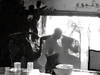 神武手游中，紫氣東來究竟如何影響家園建設(shè)和風(fēng)水？
