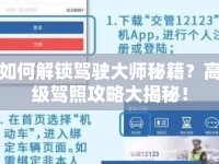如何解鎖駕駛大師秘籍？高級(jí)駕照攻略大揭秘！
