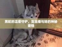 黑蛇的溫柔守護，女主播與她的神秘寵物