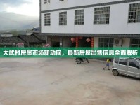 大武村房屋市場(chǎng)新動(dòng)向，最新房屋出售信息全面解析
