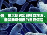 警惕，排大便時出現(xiàn)鮮血粘液，可能是腸道健康的重要信號