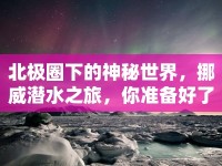 北極圈下的神秘世界，挪威潛水之旅，你準(zhǔn)備好了嗎？