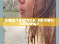 網(wǎng)絡(luò)迷霧下的真實(shí)與幻象，網(wǎng)紅姐姐的小視頻背后的真相