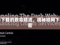 網(wǎng)絡(luò)下載的致命暗流，揭秘暗網(wǎng)下的秘密