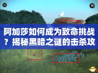 阿加莎如何成為致命挑戰(zhàn)？揭秘黑暗之謎的擊殺攻略！