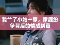 我艸了小姑一家，家庭紛爭背后的情感糾葛