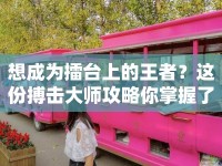 想成為擂臺上的王者？這份搏擊大師攻略你掌握了嗎？