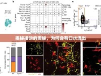 揭秘接吻的奧秘，為何會(huì)有口水流出