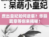庶出皇妃如何逆襲？華麗篇章等你來揭秘！