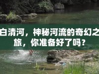 白清河，神秘河流的奇幻之旅，你準(zhǔn)備好了嗎？