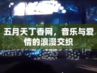 五月天丁香網(wǎng)，音樂(lè)與愛(ài)情的浪漫交織