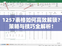 1257表格如何高效解鎖？策略與技巧全解析！