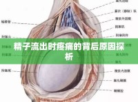 精子流出時(shí)疼痛的背后原因探析