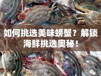 如何挑選美味螃蟹？解鎖海鮮挑選奧秘！