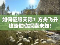 如何征服天際？方舟飛升攻略助你探索未知！
