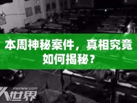 本周神秘案件，真相究竟如何揭秘？