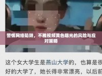 警惕網絡陷阱，不雅視頻黃色曝光的風險與應對策略