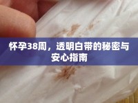 懷孕38周，透明白帶的秘密與安心指南