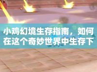 小雞幻境生存指南，如何在這個奇妙世界中生存下來？
