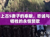 上古5妻子的奉獻(xiàn)，忠誠(chéng)與犧牲的永恒贊歌