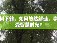 樹下翁，如何悠然解謎，享受智慧時光？