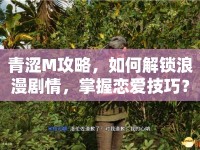 青澀M攻略，如何解鎖浪漫劇情，掌握戀愛(ài)技巧？