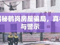 揭秘鶴崗房屋騙局，真相與警示
