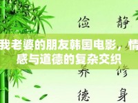 我老婆的朋友韓國(guó)電影，情感與道德的復(fù)雜交織
