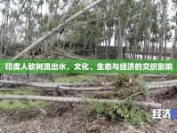 印度人砍樹流出水，文化、生態(tài)與經(jīng)濟的交織影響