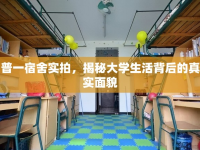 普一宿舍實(shí)拍，揭秘大學(xué)生活背后的真實(shí)面貌