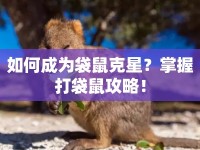 如何成為袋鼠克星？掌握打袋鼠攻略！