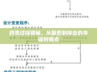 藥流過(guò)程揭秘，從服藥到排出的關(guān)鍵時(shí)間點(diǎn)