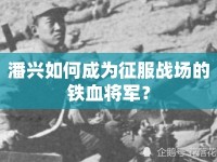 潘興如何成為征服戰(zhàn)場的鐵血將軍？